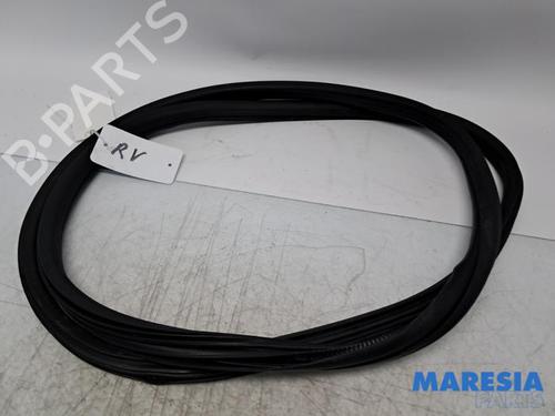 Gummiliste Gummiliste CITROËN C3 III (SX) 1.2 THP 110 (SXHNPS, SXHNZT, SXHNZ6) (110 hp) 33957795 33957795