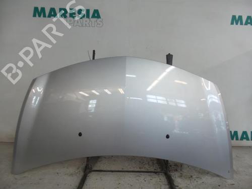 Used Hood RENAULT CLIO III (BR0/1, CR0/1) 1.4 16V (98 hp) 31506733