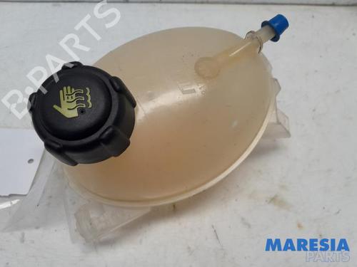 Ekspansjonstank RENAULT CAPTUR I (J5_, H5_) 0.9 TCe 90 (90 hp) 31448659