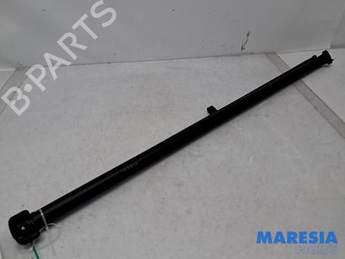 Used Rear parcel shelf PEUGEOT 307 CC (3B) 2.0 16V (136 hp) 31446729