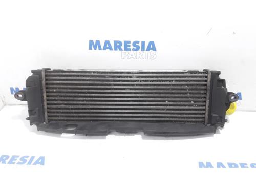 Intercooler RENAULT TRAFIC II Van (FL) 2.0 dCi 115 (FL01, FL0U, FL00, FL0H, FL0M) | BP31436750M30