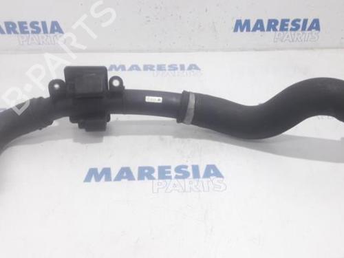 Used Exhaust system RENAULT KANGOO Express (FW0/1_) 1.5 dCi 70 (FW0A, KW0V) (68 hp) 31394211