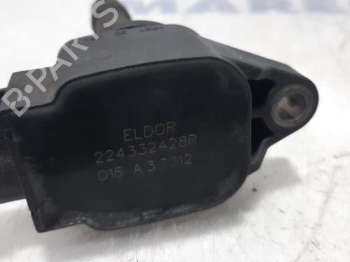 Ignition coil RENAULT SCÉNIC III (JZ0/1_) 1.2 TCe (JZ16) | BP31491935M94