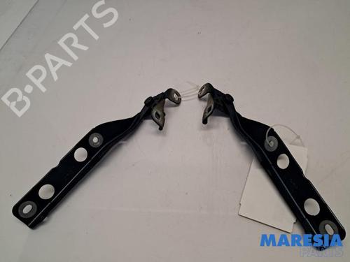 Used Hinge/Door check strap Hinge/Door check strap CITROËN C4 Grand Picasso II (DA_, DE_) 1.6 HDi / BlueHDi 115 (115 hp) 31475743 31475743