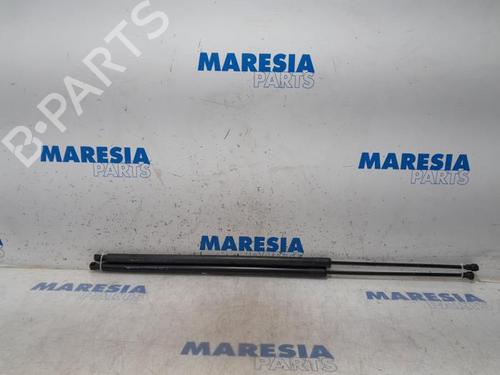 tailgate-lift-support-renault-kangoo-grand-kangoo-ii-kw01_-2008-31430288 main image