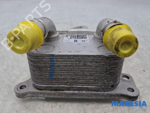 Used Oil radiator RENAULT CLIO V (B7_) 1.0 TCe 100 (B7MT) (101 hp) 32011974