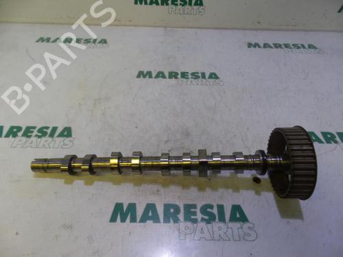 Used Other RENAULT CLIO III (BR0/1, CR0/1) 1.6 16V (BR05, BR0B, BR0Y, BR15, BR1J, BR1M, BR1Y, CR0B,... (112 hp) 31479381