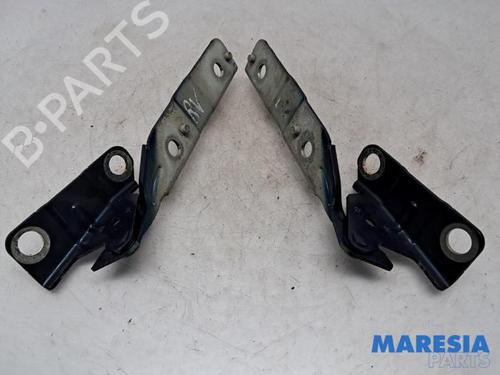 Used Hinge/Door check strap CITROËN C5 III Break (RW_) 2.0 i 16V (RWRFJC, RWRFJF) (140 hp) 31532986