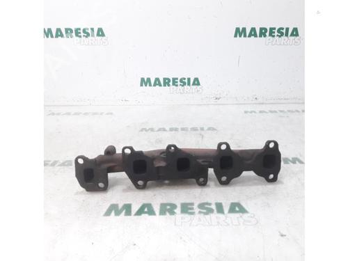 Used Exhaust manifold FIAT GRANDE PUNTO (199_) 1.3 D Multijet (75 hp) 31469326