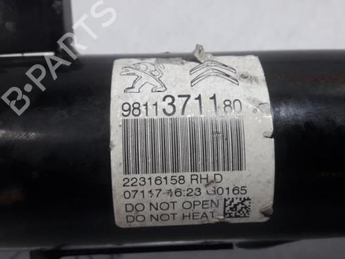 Right front shock absorber CITROËN C3 III (SX) 1.2 VTi 82 | BP31508455M17 - Image 3