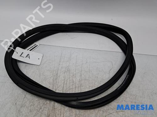 Gummiliste Gummiliste CITROËN C3 III (SX) 1.2 THP 110 (SXHNPS, SXHNZT, SXHNZ6) (110 hp) 33957796 33957796