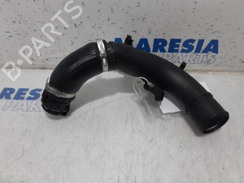 Pipe RENAULT CLIO IV (BH_) 0.9 TCe 90 (BHNF, BHMA, BHMH, BHJK, BHJR) | BP31394113M125