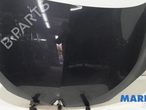 Hood RENAULT MEGANE III Hatchback (BZ0/1_, B3_) 1.4 TCe (BZ0F, BZ1V) | BP31462082C1