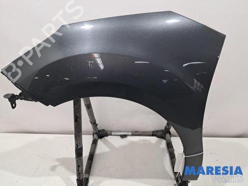 Guarda-lamas esquerdo CITROËN C3 II (SC_) 1.2 VTi 82 (82 hp) 32011793