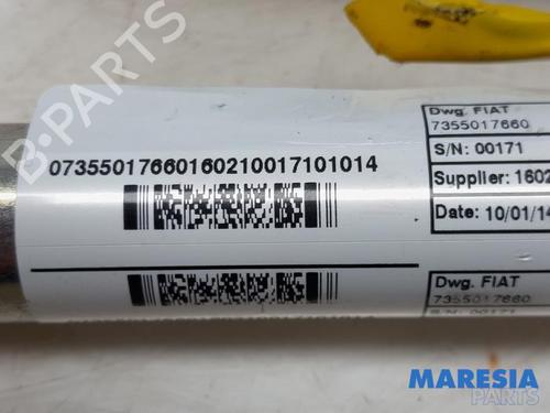 Other FIAT PUNTO (199_) 0.9 | BP31394968O1