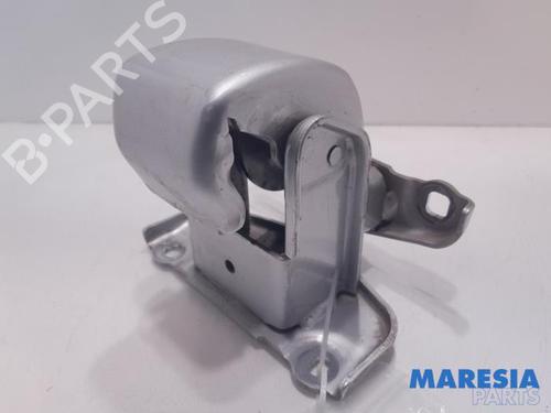 Used Hinge/Door check strap FIAT TALENTO Van (296_) 1.6 D (125 hp) 31510046