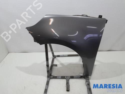 Used Left front fenders RENAULT SCÉNIC III (JZ0/1_) 1.4 16V (JZ0F, JZ1V) (131 hp) 31481608