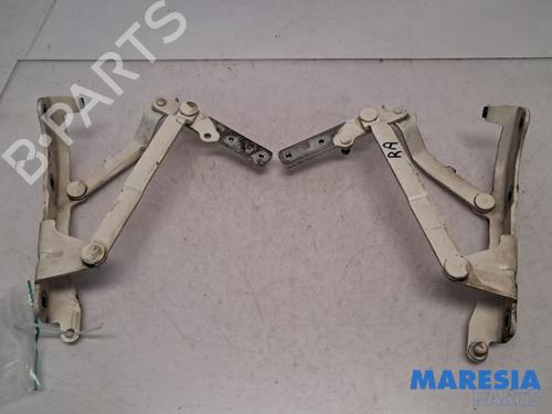 Used Hinge/Door check strap Hinge/Door check strap ABARTH 500C / 595C / 695C 1.4 (312.AXF1A, 312.AXF11, 312.AXD1A) (140 hp) 39896458 39896458