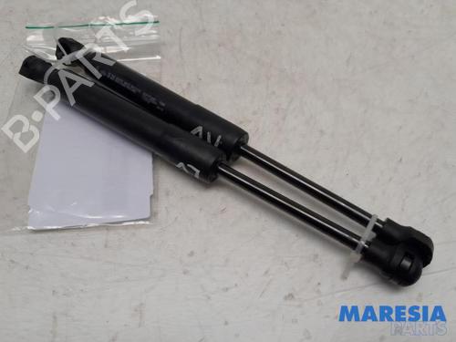 amortecedor-do-capot-renault-zoe-bfm_-2012-31391271 main image