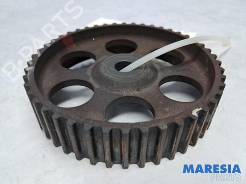 Used Pulley FIAT PUNTO EVO (199_) 1.4 16V (105 hp) 31418121