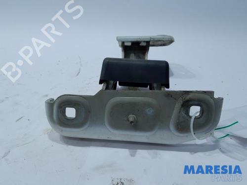 Hinge/Door check strap CITROËN JUMPY II Van 2.0 HDi 125 | BP31391573C146