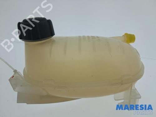 Ausgleichsbehälter für RENAULT CLIO V (B7_) 1.0 TCe 100 (B7MT) (101 hp) 32783869