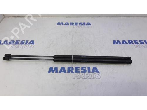 tailgate-lift-support-citroen-c4-grand-picasso-i-ua_-2006-2007-2008-2009-2010-2011-2012-2013-31440992 main image