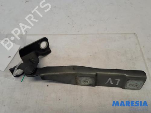 Used Hinge/Door check strap CITROËN DS3 (SA_) 1.2 VTi 82 (82 hp) 31530184