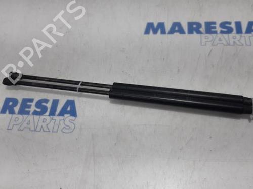 Used Tailgate lift support FIAT PUNTO EVO (199_) 1.3 D Multijet (84 hp) 31390438