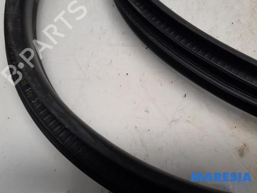 Gummiliste RENAULT ZOE (BFM_) ZOE | BP31434455C142