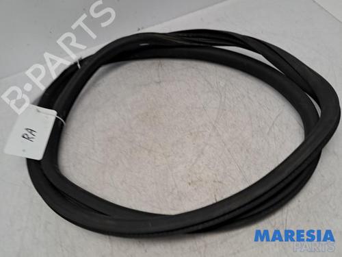 Gummiliste CITROËN C4 CACTUS 1.2 THP 110 (110 hp) 31417860