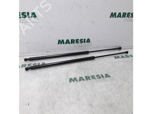 Used Tailgate lift support RENAULT SCÉNIC III (JZ0/1_) 1.6 dCi (JZ00, JZ12) (130 hp) 31391490