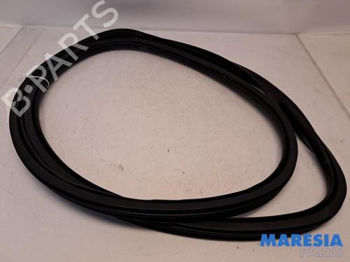 Rubber door seal CITROËN C4 Grand Picasso II (DA_, DE_) 1.2 THP 130 | BP31419632C142