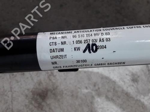 Switch PEUGEOT 307 CC (3B) 2.0 16V | BP31422670I30 