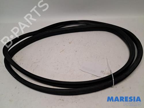 Gummiliste FIAT 500 (312_) 1.2 (312AXA1A) (69 hp) 31456317