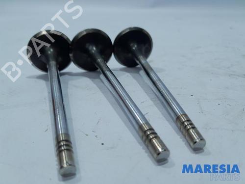 Andre CITROËN C4 Picasso II 1.6 HDi / BlueHDi 115 | BP31447718O1