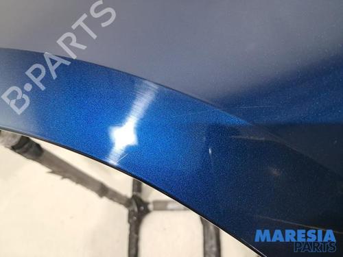 Left front fenders RENAULT MEGANE IV Hatchback (B9A/M/N_) 1.2 TCe 130 (B9MR) | BP31717953C41 