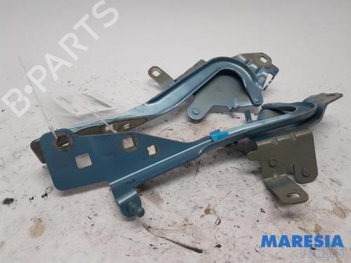 Used Hinge/Door check strap RENAULT GRAND SCÉNIC III (JZ0/1_) 2.0 16V (JZ0G) (140 hp) 31463469