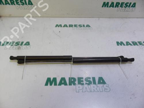 Used Tailgate lift support CITROËN C3 II (SC_) 1.6 HDi (92 hp) 31392538