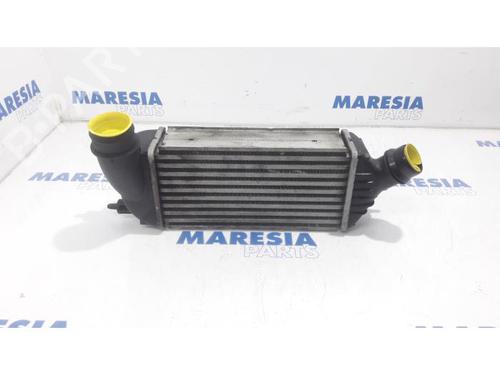 Intercooler CITROËN JUMPY II Platform/Chassis 2.0 HDi 125 (128 hp) 31488271