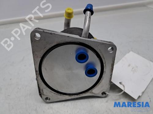 BP31450141M33 main image