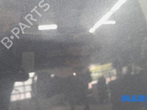 Hood CITROËN C4 Picasso I MPV (UD_) 1.6 16V | BP31469946C1 