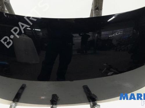 Hood RENAULT SCÉNIC III (JZ0/1_) 1.6 dCi (JZ00, JZ12) | BP31449400C1 