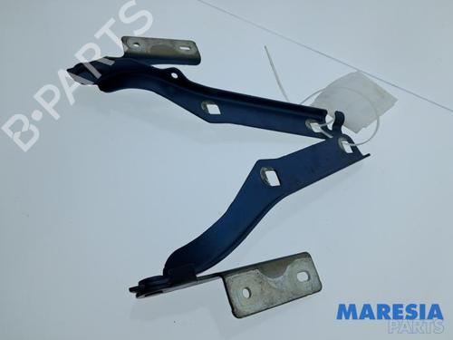 Used Hinge/Door check strap CITROËN BERLINGO MULTISPACE (B9) 1.6 VTi 120 (120 hp) 32069194
