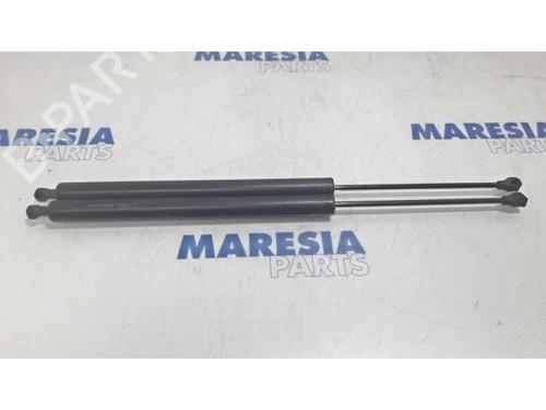 Used Tailgate lift support PEUGEOT PARTNER Tepee 1.6 HDi 16V (90 hp) 31536946