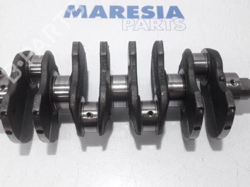 Other FIAT 500 (312_) 1.2 LPG (312AXA1A) | BP31474539O1