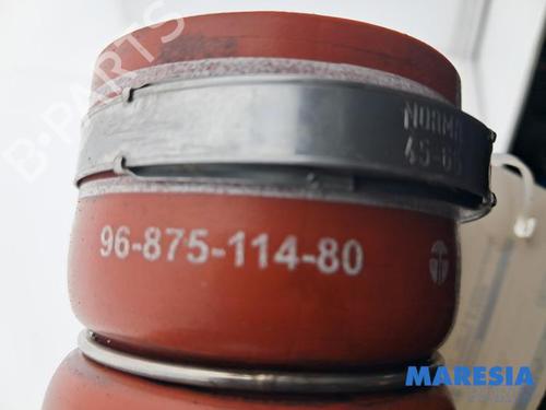 Pipe CITROËN C4 Picasso I MPV (UD_) 1.6 THP 155 | BP32197213M125