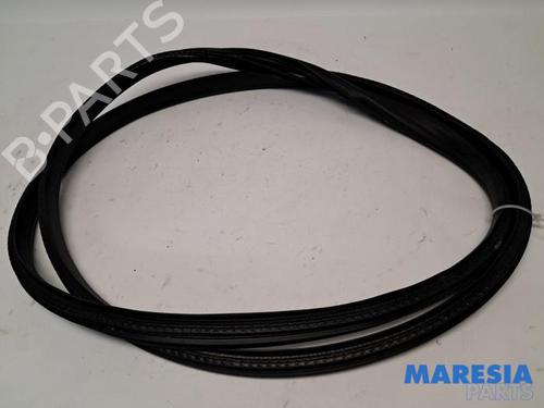 Gummilist RENAULT CLIO V (B7_) 1.0 TCe 100 (B7MT) (101 hp) 31388565