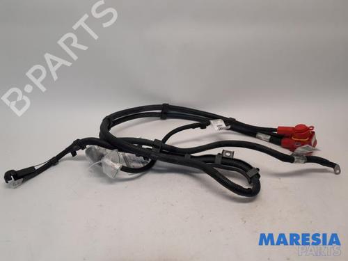 Kabel FIAT PANDA (312_, 319_) 1.0 Mild Hybrid (312.PYD1B) (69 hp) 31484918