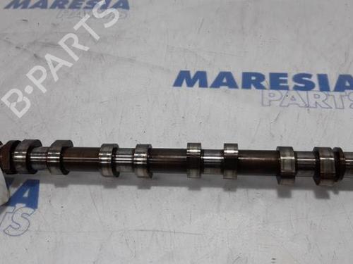 BP31505244O1 main image